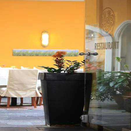 Отель Boutique Dom - & 4*